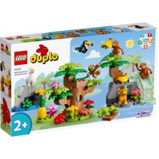 LEGO® DUPLO® Laukiniai Pietų Amerikos gyvūnai 10973